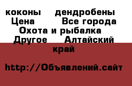 коконы    дендробены › Цена ­ 25 - Все города Охота и рыбалка » Другое   . Алтайский край